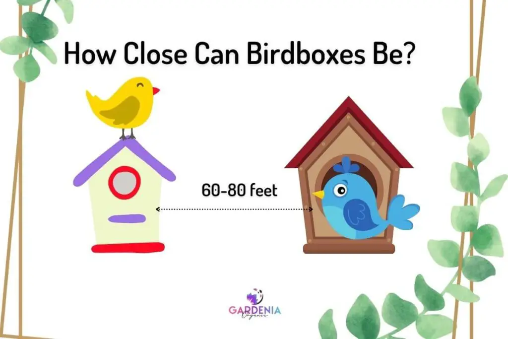 60-80 feet apart birdbox