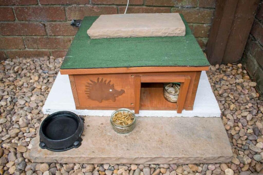 hedgehog home