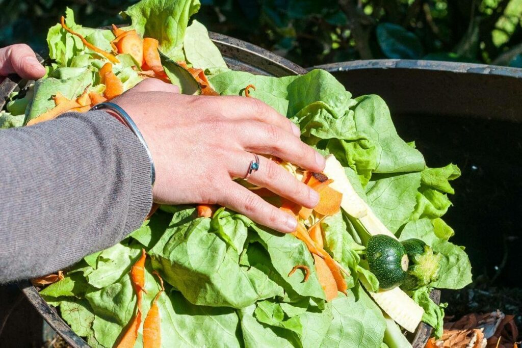 Anaerobic black bag composting