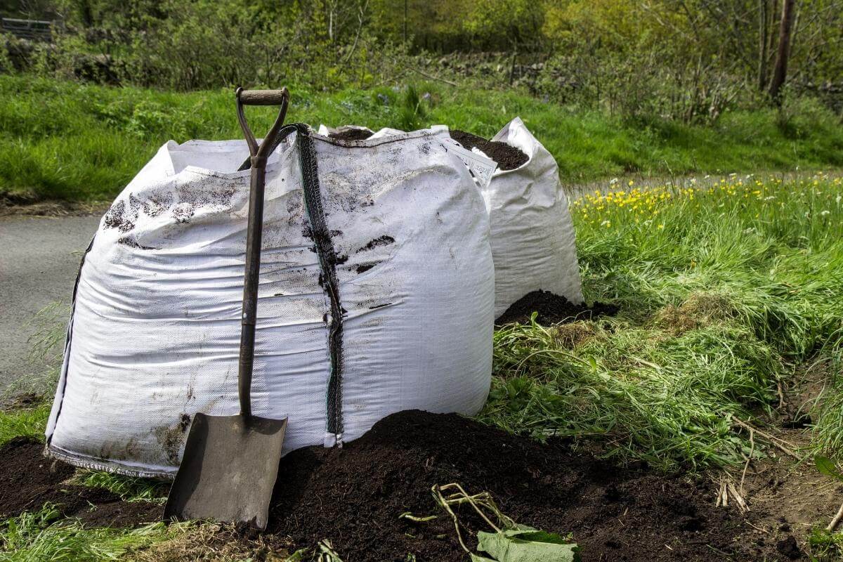 Can Compost Go Bad? Gardenia Organic