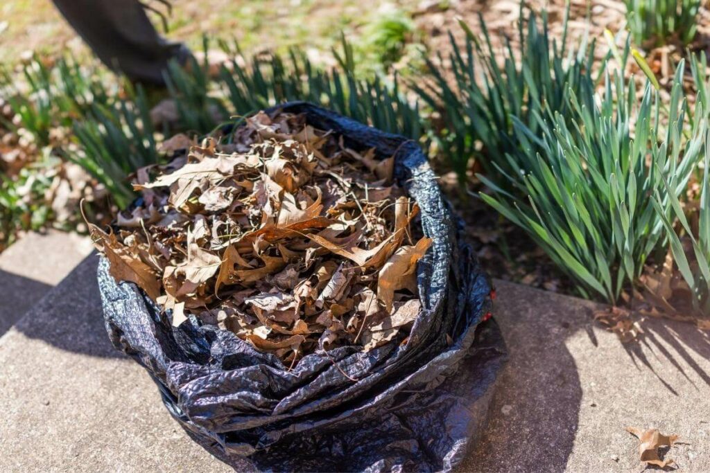 Black bag composting types