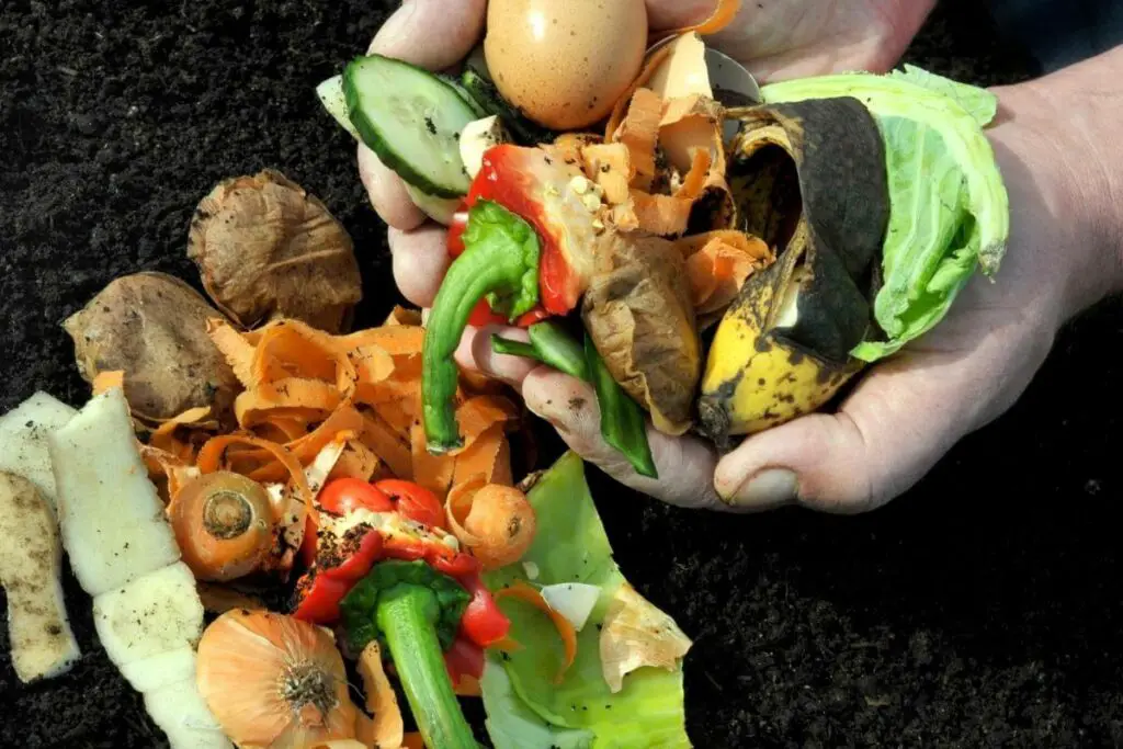 Is Black Bag Composting Just for Leaves?