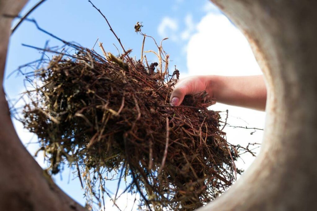 Compost Tumbler Not Heating Up? Why and Solutions Gardenia Organic