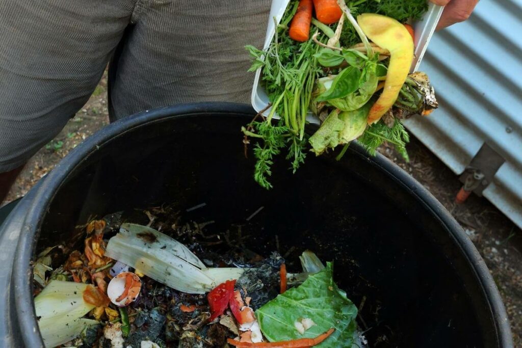 Strong compost smell