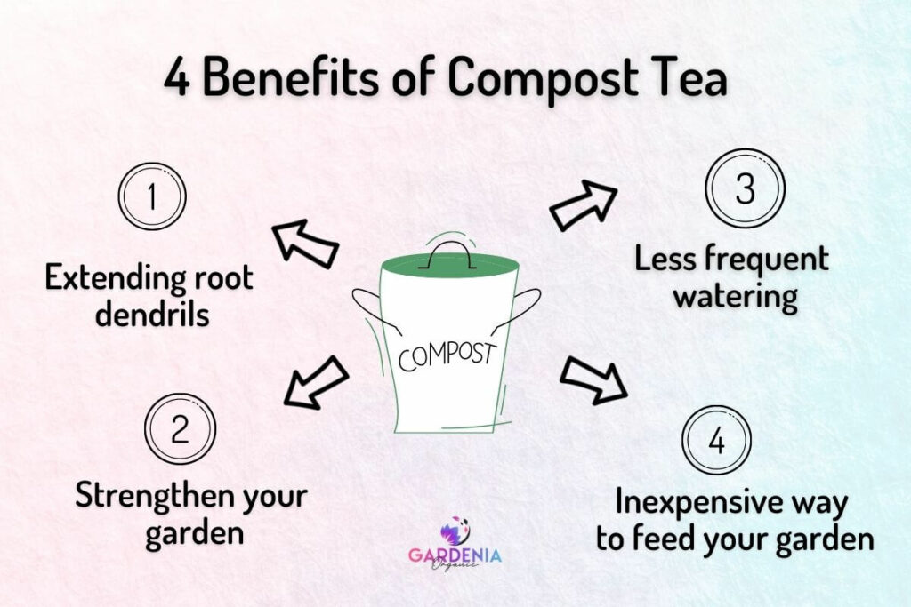 What Are the Benefits of Compost Tea?