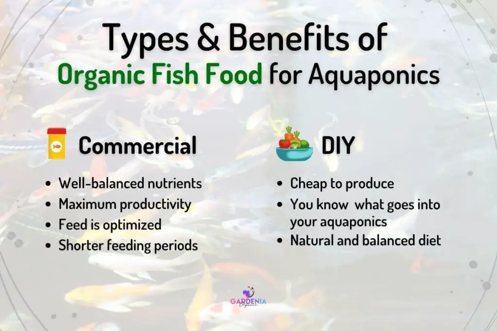 Types of Organic Fish Food for Aquaponics