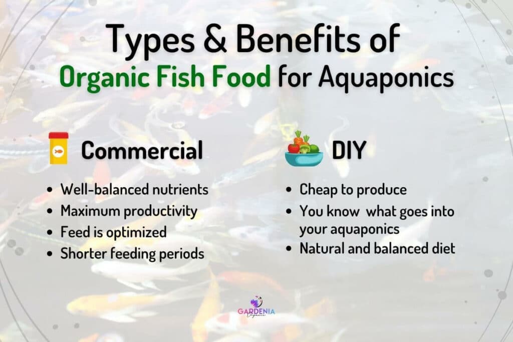 Types of Organic Fish Food for Aquaponics