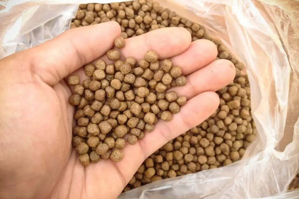 Commercial pellets and flakes for fish