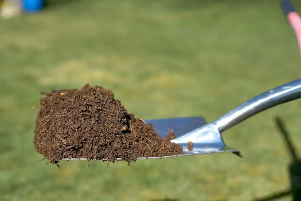 How Much Compost to Mix with Soil