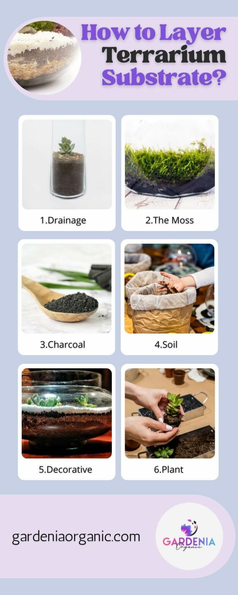Terrarium Substrate Layers Guide) Gardenia Organic