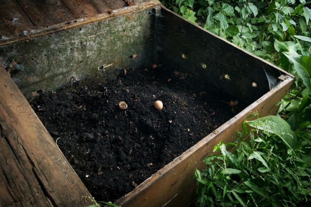 Signs that Your Compost Pile Isn’t Well
