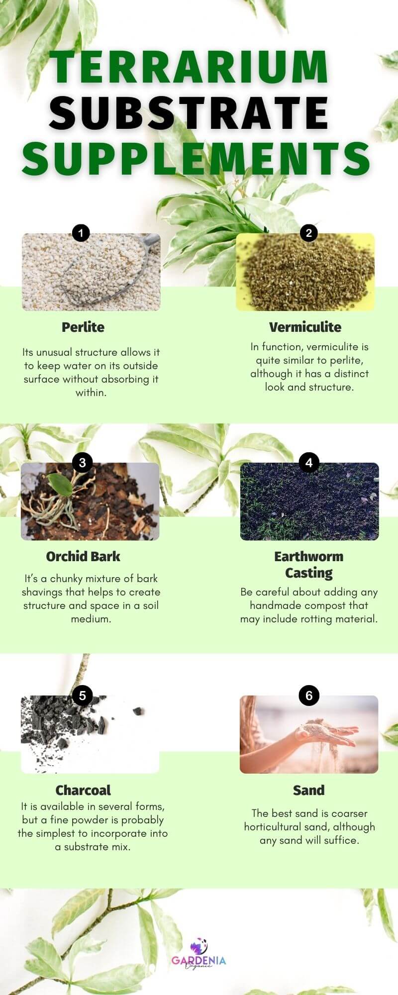 Terrarium Substrate Layers Guide) Gardenia Organic