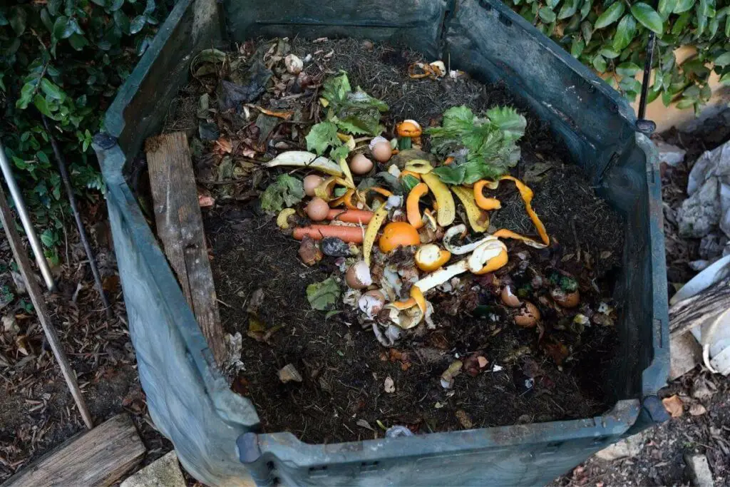 Why Does Unfinished Compost Affect Nitrogen Levels?