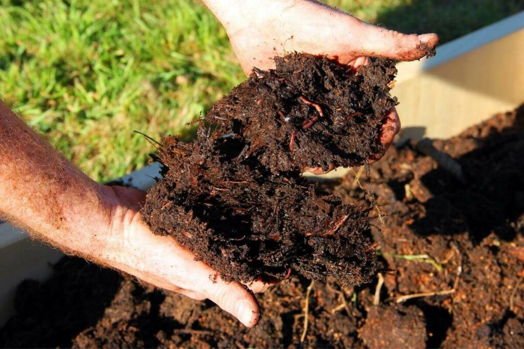 Feeding stations and worm farms