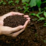 Bokashi vs Vermicomposting: Which is better