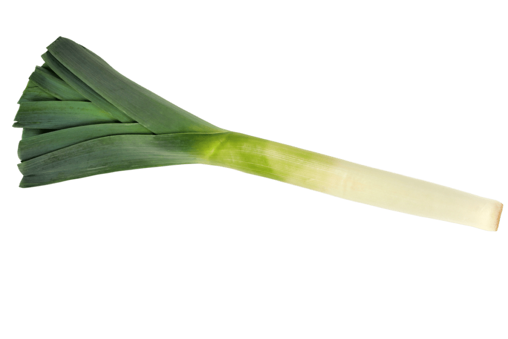 leek