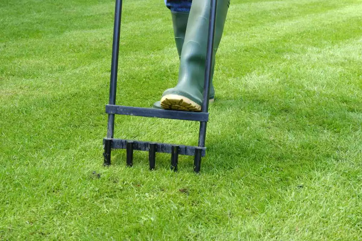 Will Aerating a Lawn Help with Drainage?