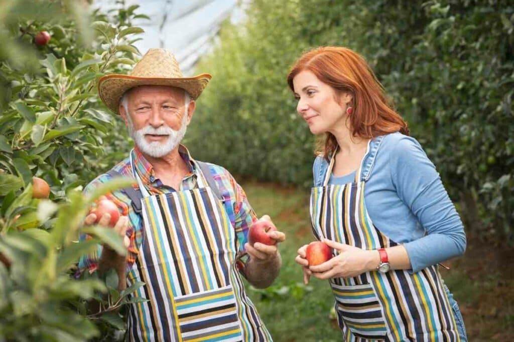 california fruit farm