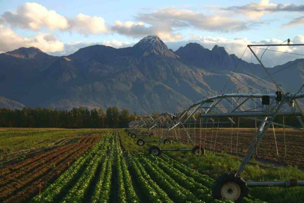 alaska farm