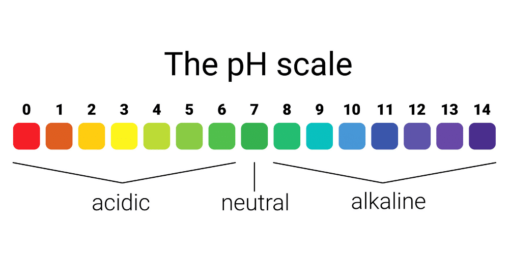 ph soil testing