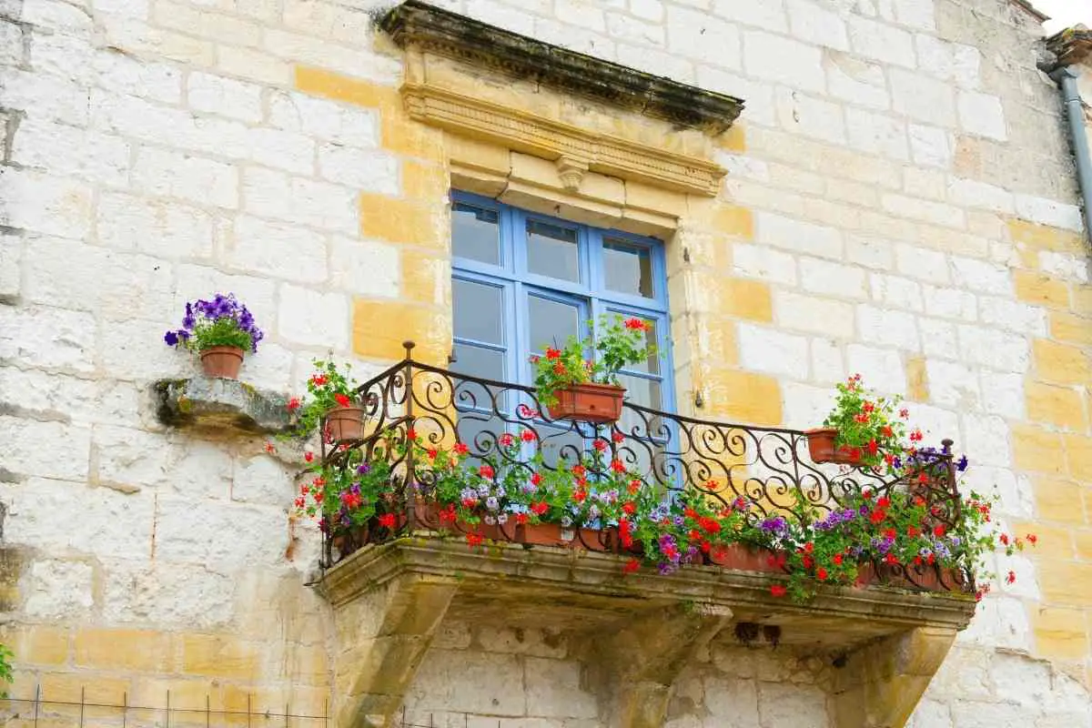 Plants for Windy Ledges