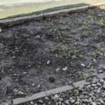 Kill Weeds Before Laying Gravel Effectively with These Methods