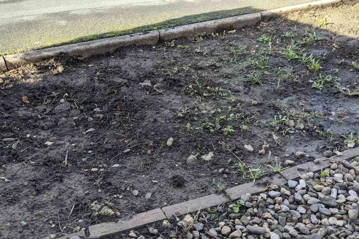 Kill Weeds Before Laying Gravel Effectively with These Methods