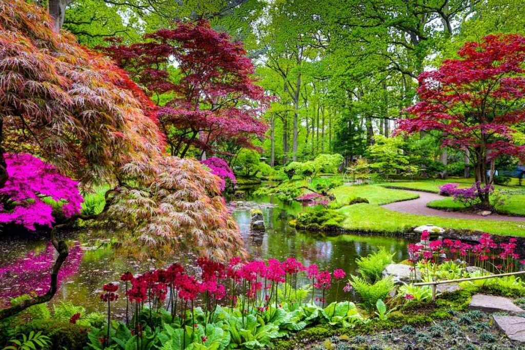 5 Trees Perfect For A Japanese Style, What To Plant In A Japanese Garden