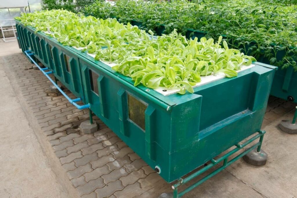 Aeroponics system set up