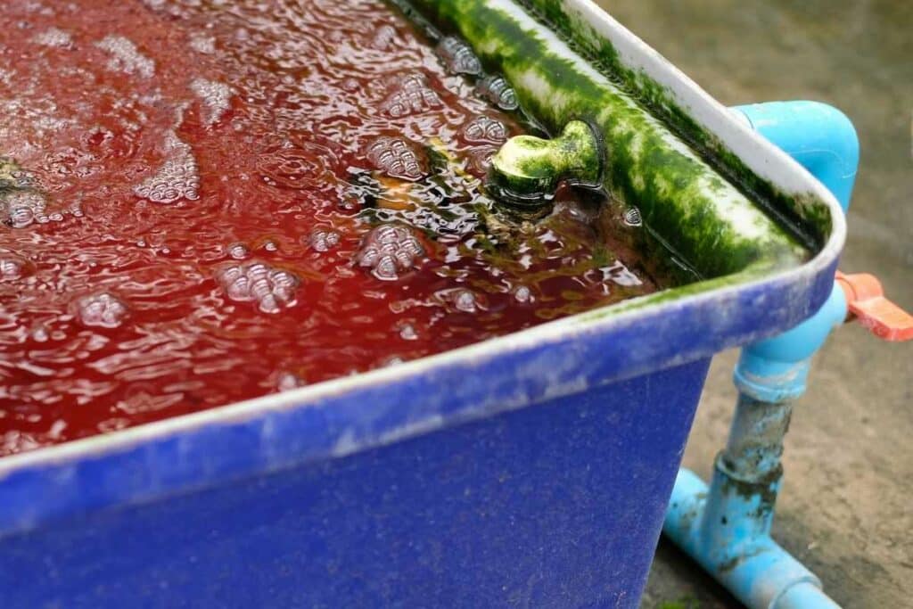 Aquaponics waiting for planting seeds