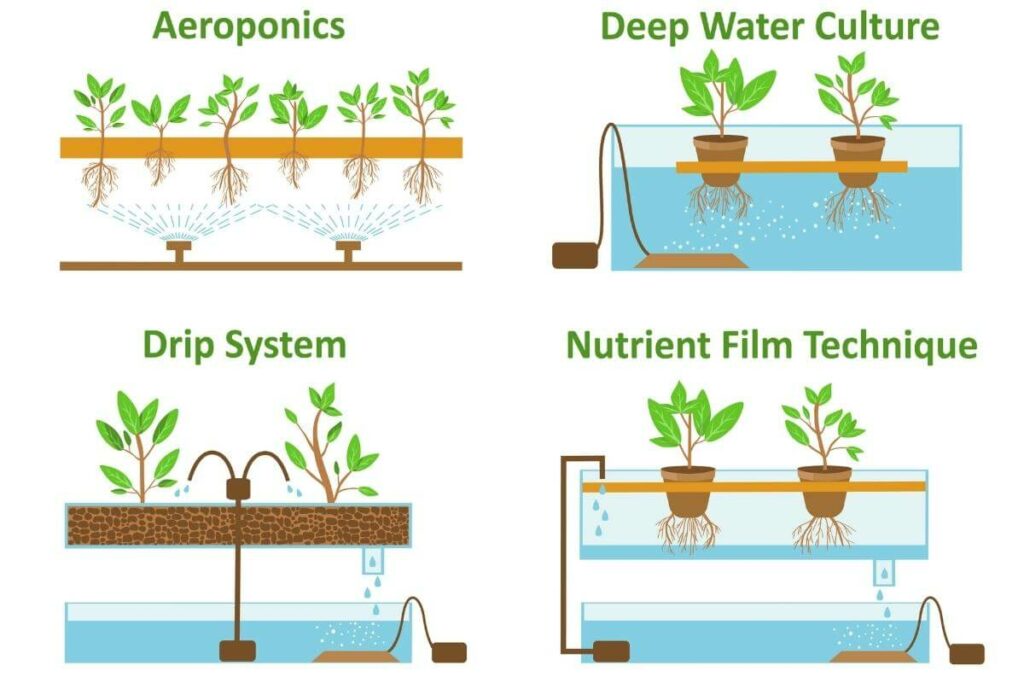 Different types of systems for growing plants