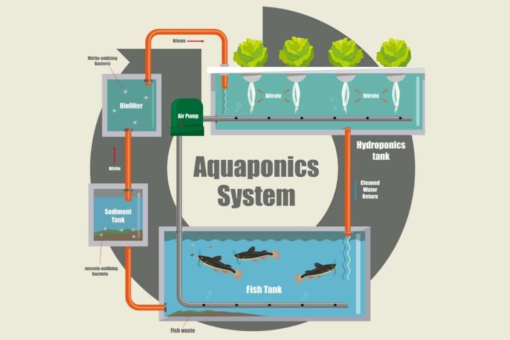 Aquaponics