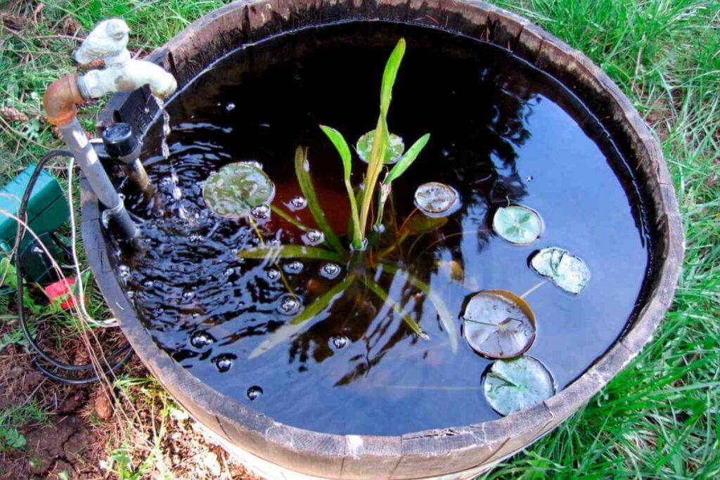 Pond-in-a-barrel idea