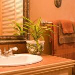 Beautiful Bathroom Plants That Absorb Moisture