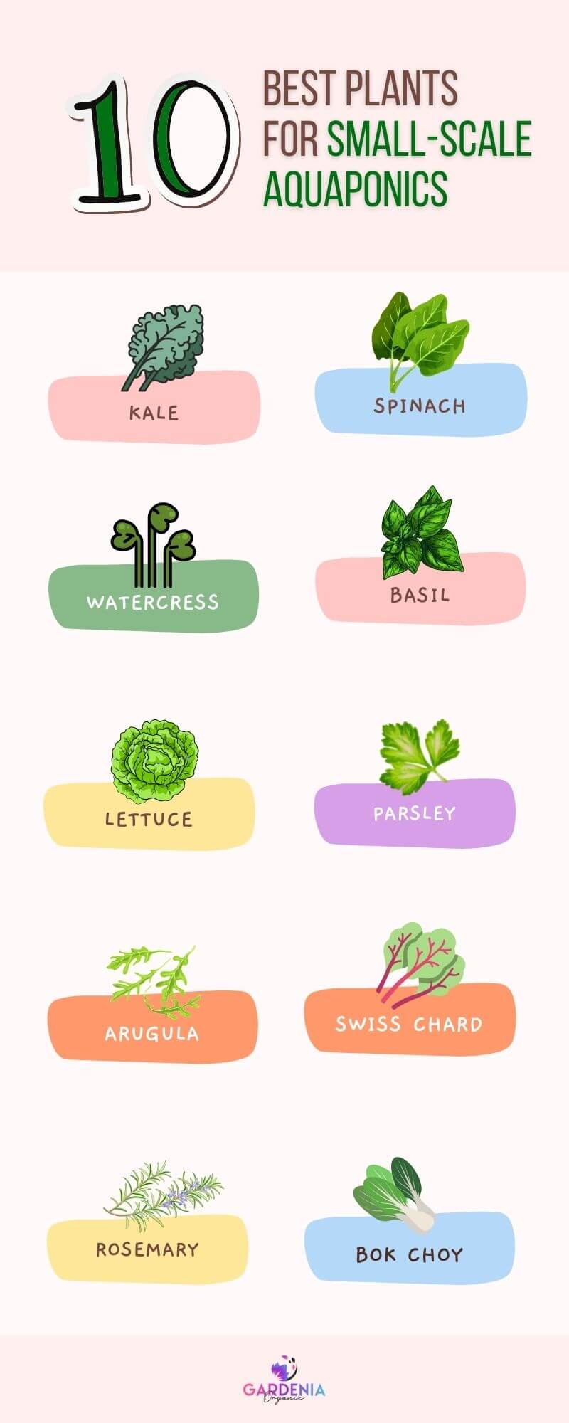 Infographics for plants in small scale aquaponics