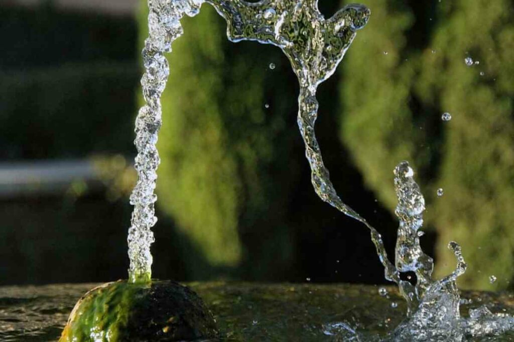 Bubbler fountain in a garden