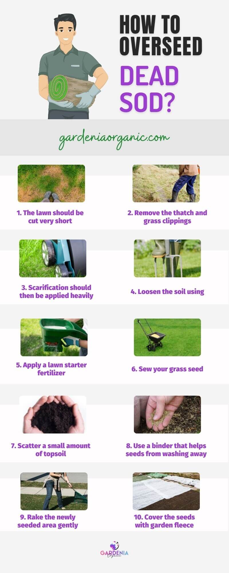 Steps on how to overseed dead sod