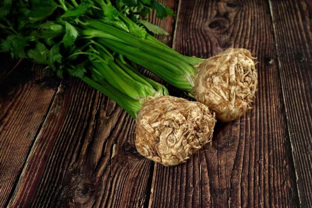 Celeriac crops from cuttings