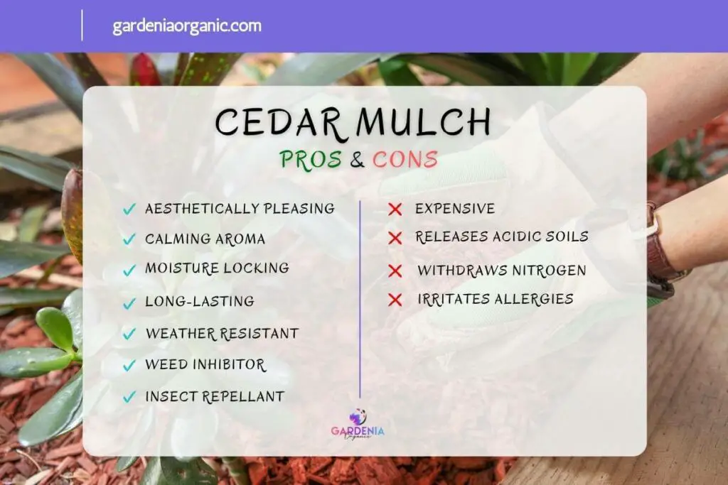 Cedar mulch pros cons