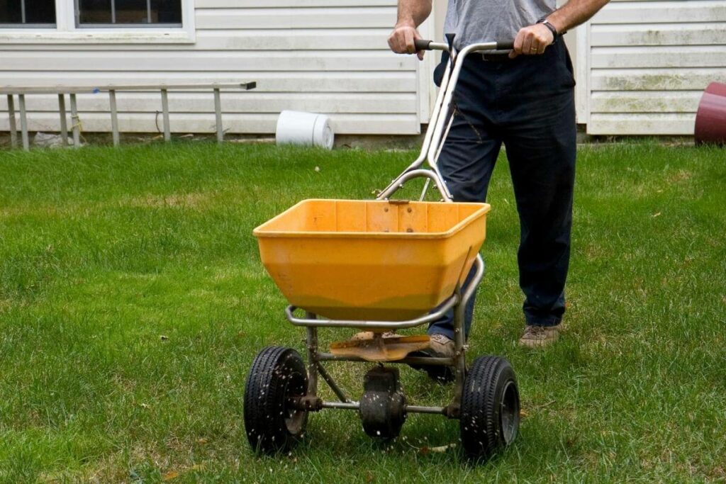 Use Compost for Overseeding