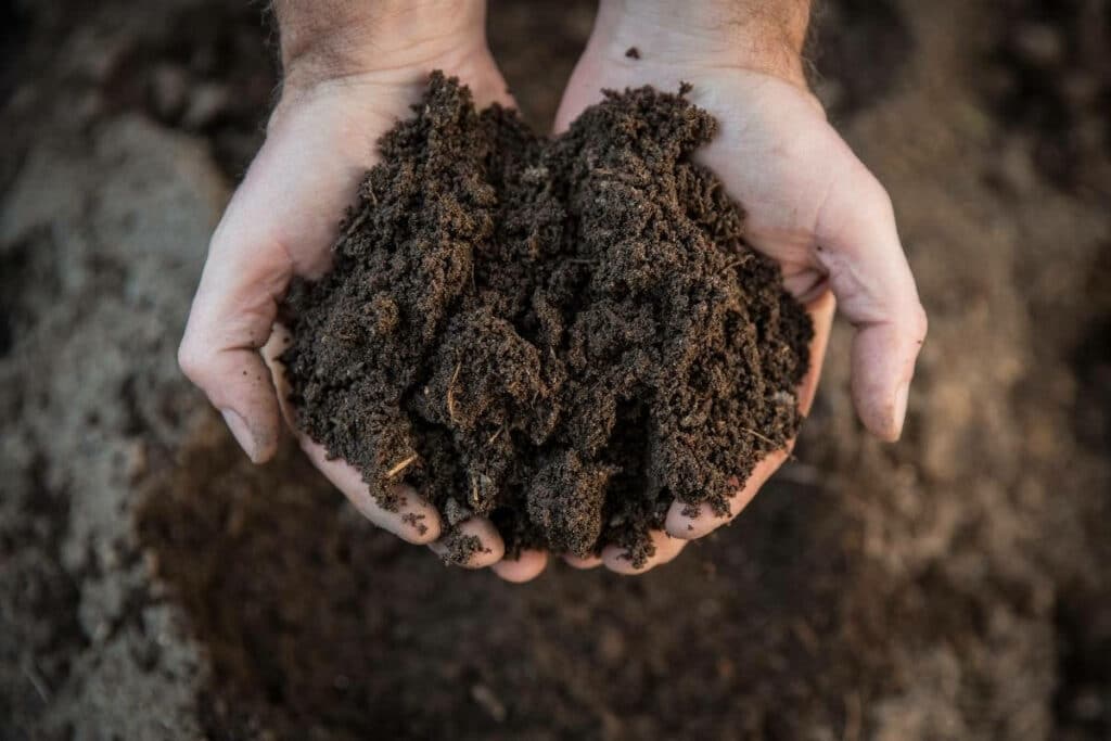 Compost when overseeding is especially needed