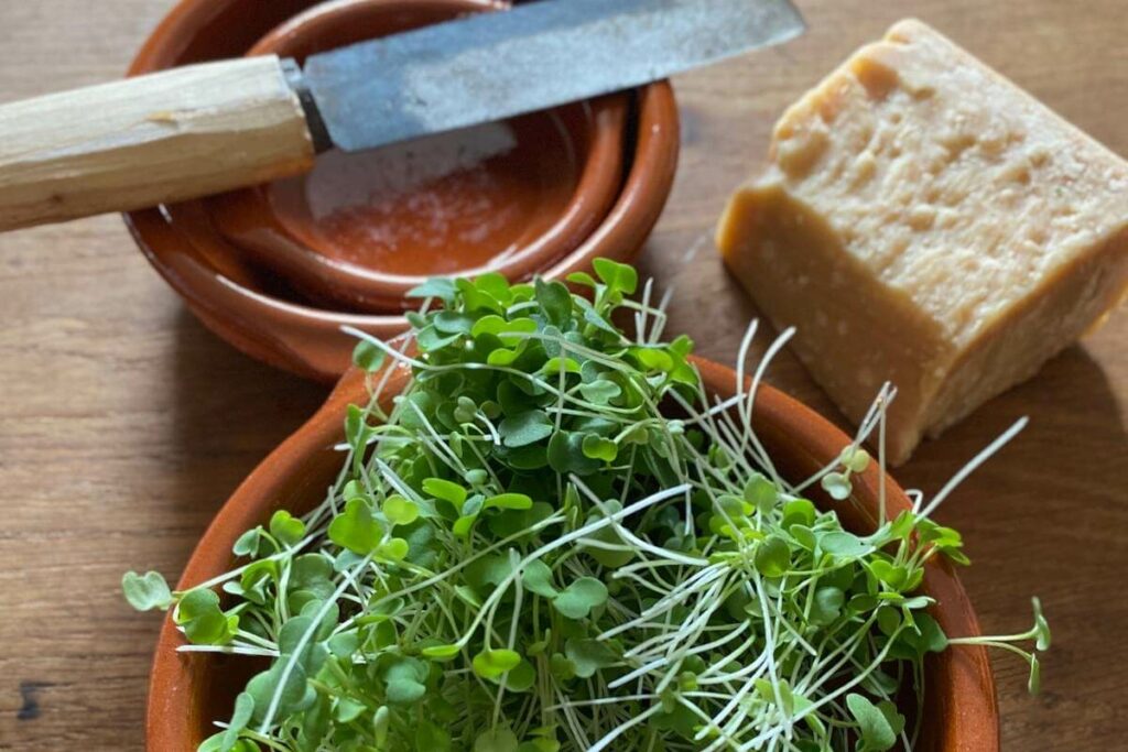 How arugula microgreens are Consumed