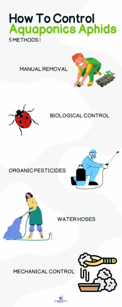 Controlling Aphids infographic