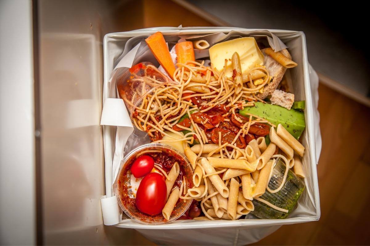 Composting Pasta Do's and Don'ts Gardenia Organic