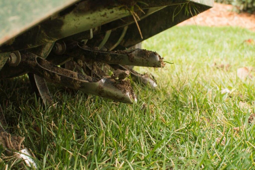 Core aeration technique tips