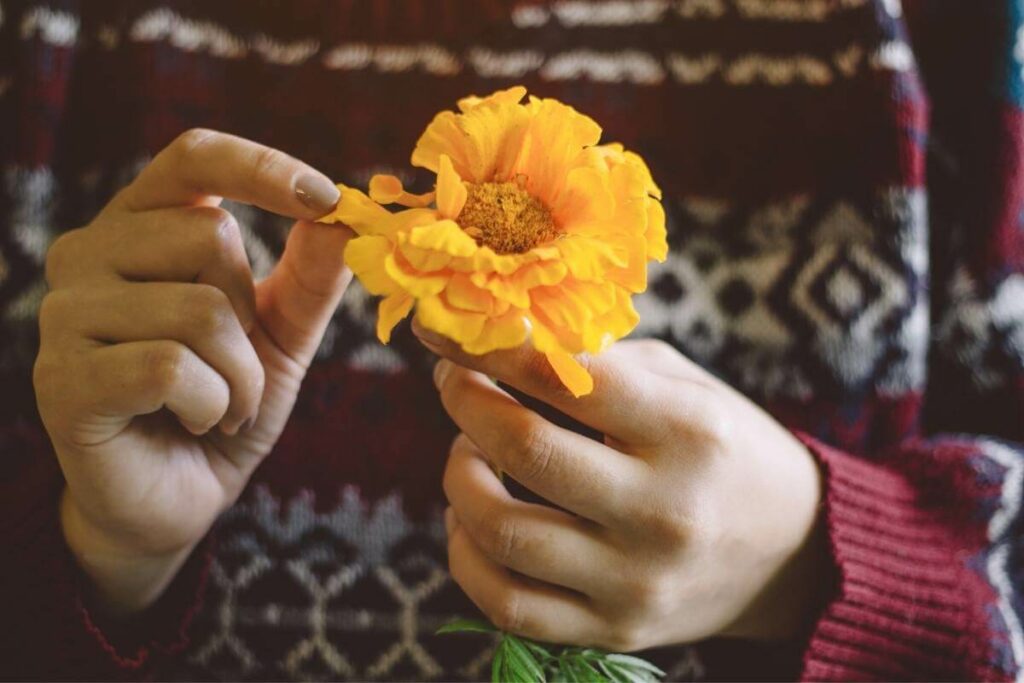 Do Marigolds Attract Bees into My Backyard