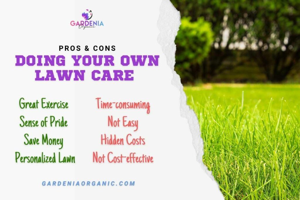 Doing Your Own Lawn Care: Pros and Cons