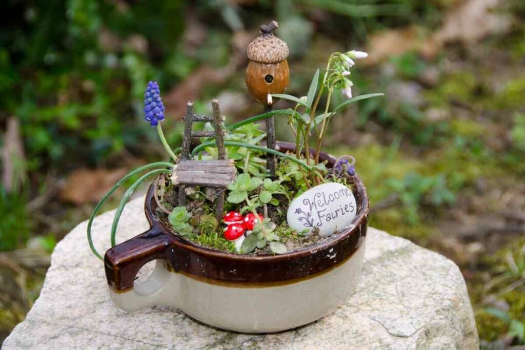 Fairy garden design idea