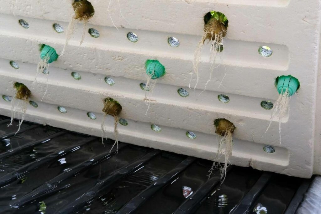 Hydroponics growing medium