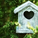 Complete Guide to Garden Bird Nest Box Size and Dimensions